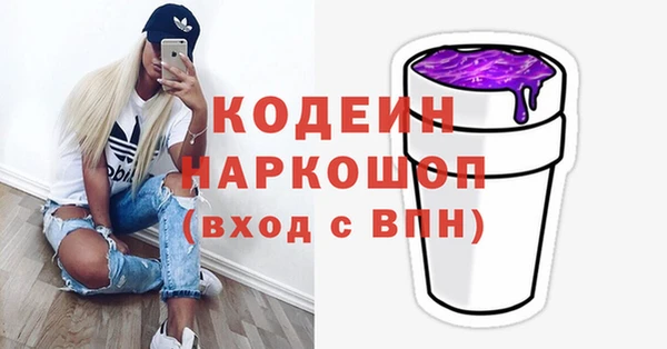 прущие грибы Алзамай