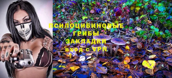 apvp Алексеевка