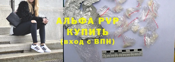 СК Алексин