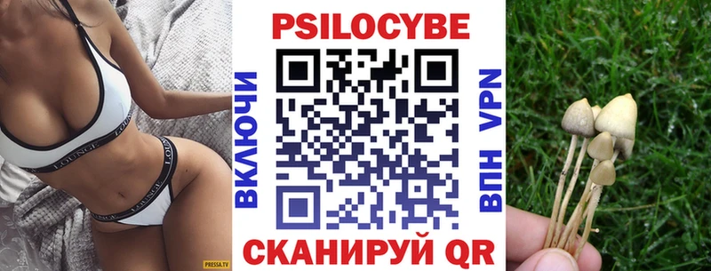 blacksprut как войти Избербаш Галлюциногенные грибы ЛСД