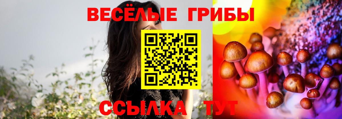 Избербаш  Псилоцибиновые грибы Psilocybe  Вход с VPN 