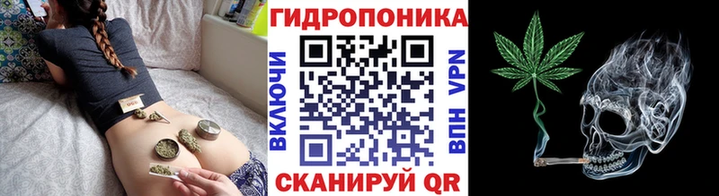 Канабис SATIVA & INDICA  купить наркоту  Избербаш 